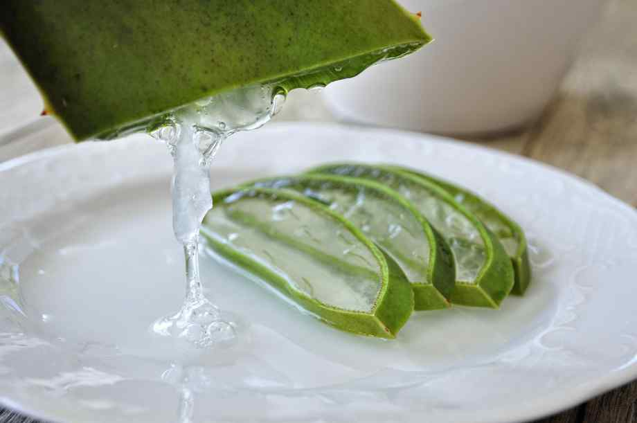 L'application de gel d'aloe vera pour calmer l'inflammation-Josefa Santé L'application de gel d'aloe vera pour calmer l'inflammation-Josefa Santé